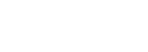 Logo Dual